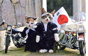Nameneko Nameneko